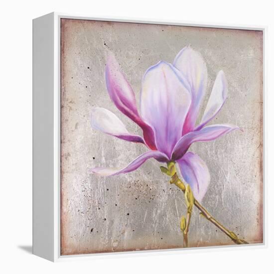 Magnolia on Silver Leaf II-Patricia Pinto-Framed Stretched Canvas