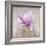 Magnolia on Silver Leaf II-Patricia Pinto-Framed Art Print