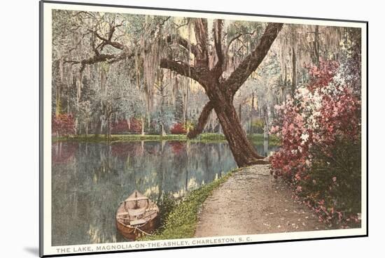 Magnolia on the Ashley, Charleston, South Carolina-null-Mounted Art Print
