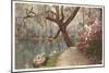 Magnolia on the Ashley, Charleston, South Carolina-null-Mounted Art Print