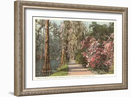 Magnolia on the Ashley, Charleston, South Carolina-null-Framed Art Print