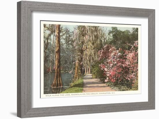 Magnolia on the Ashley, Charleston, South Carolina-null-Framed Art Print