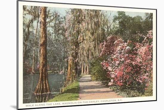 Magnolia on the Ashley, Charleston, South Carolina-null-Mounted Art Print