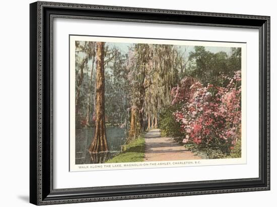 Magnolia on the Ashley, Charleston, South Carolina-null-Framed Art Print