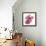 Magnolia Pair-Albert Koetsier-Framed Stretched Canvas displayed on a wall
