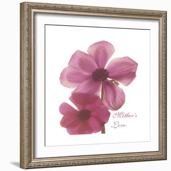 Magnolia Pair-Albert Koetsier-Framed Premium Giclee Print