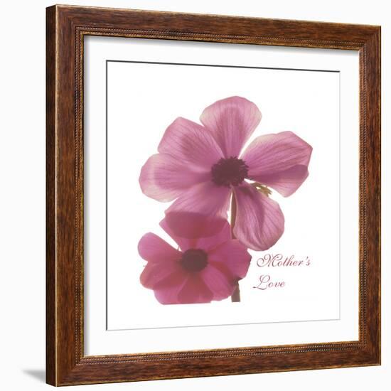 Magnolia Pair-Albert Koetsier-Framed Premium Giclee Print