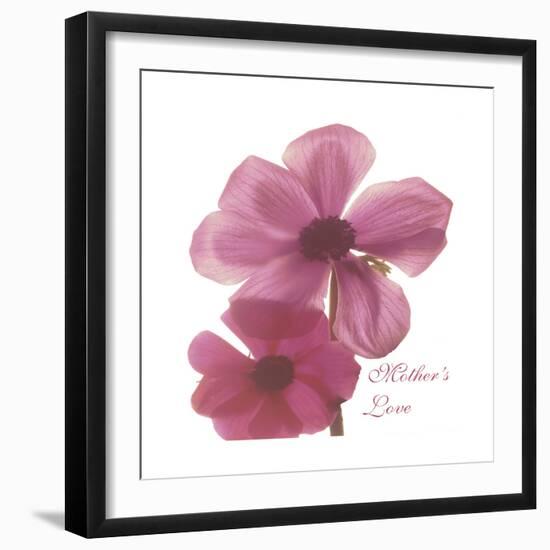 Magnolia Pair-Albert Koetsier-Framed Premium Giclee Print