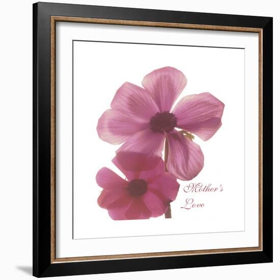 Magnolia Pair-Albert Koetsier-Framed Premium Giclee Print