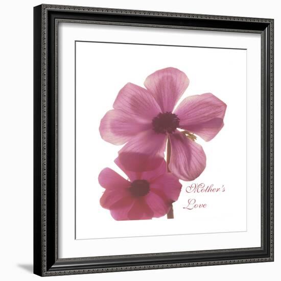 Magnolia Pair-Albert Koetsier-Framed Premium Giclee Print