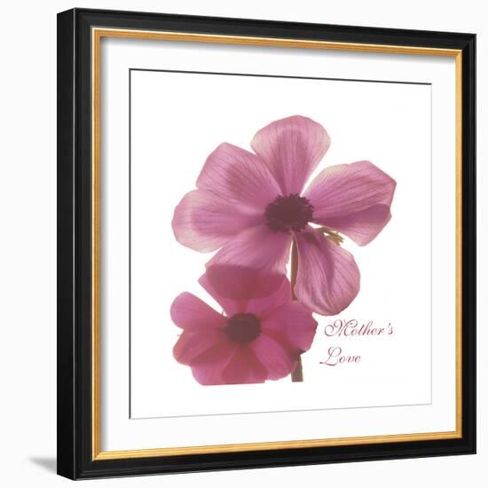 Magnolia Pair-Albert Koetsier-Framed Premium Giclee Print