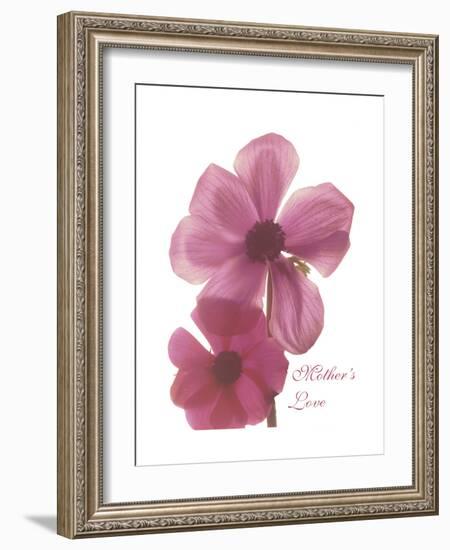 Magnolia Pair-Albert Koetsier-Framed Premium Giclee Print