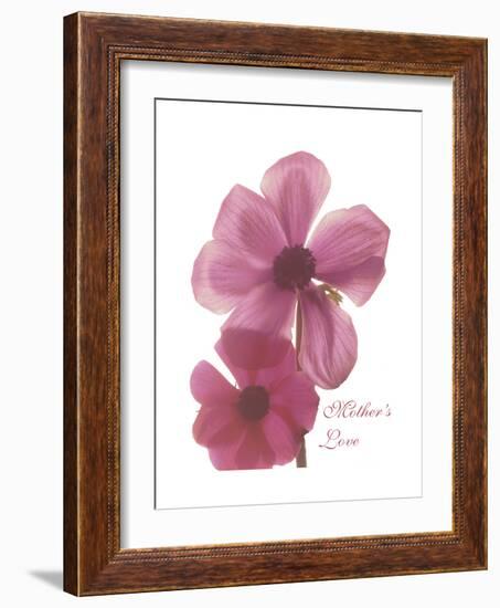 Magnolia Pair-Albert Koetsier-Framed Premium Giclee Print