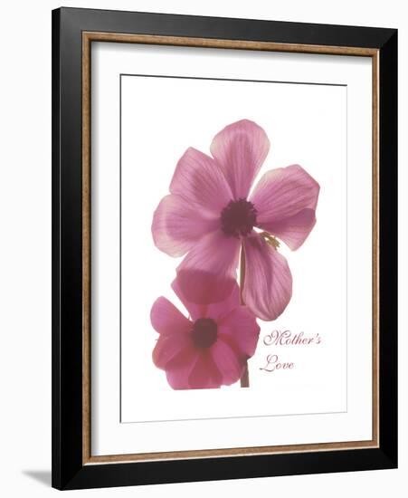 Magnolia Pair-Albert Koetsier-Framed Premium Giclee Print