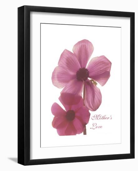 Magnolia Pair-Albert Koetsier-Framed Premium Giclee Print