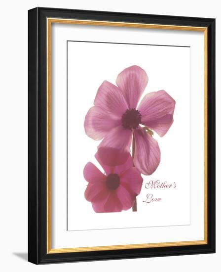 Magnolia Pair-Albert Koetsier-Framed Premium Giclee Print