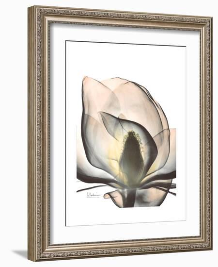 Magnolia Portrait-Albert Koetsier-Framed Premium Giclee Print