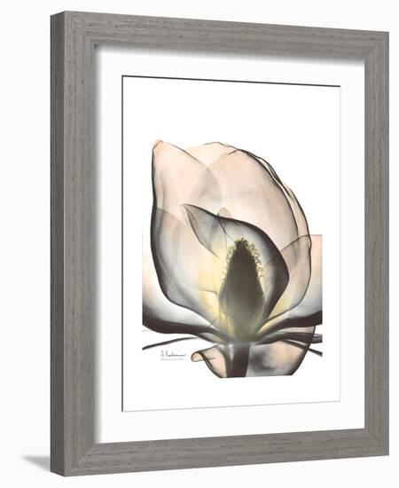 Magnolia Portrait-Albert Koetsier-Framed Premium Giclee Print