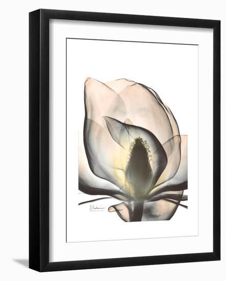 Magnolia Portrait-Albert Koetsier-Framed Premium Giclee Print