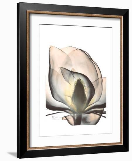 Magnolia Portrait-Albert Koetsier-Framed Premium Giclee Print