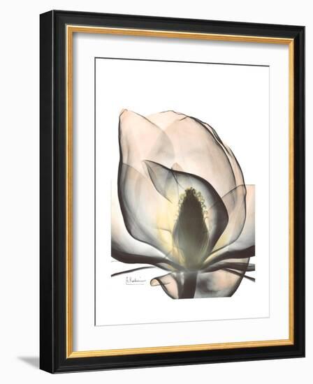 Magnolia Portrait-Albert Koetsier-Framed Premium Giclee Print