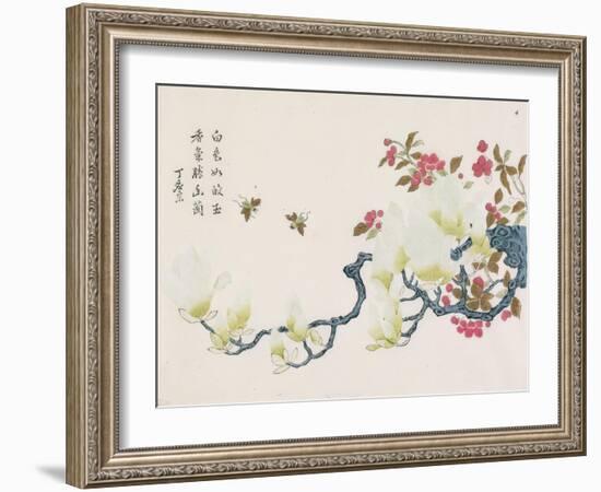 Magnolia, Prunus, Bees-Ding Yingzong-Framed Art Print