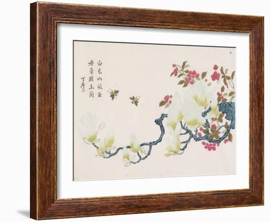 Magnolia, Prunus, Bees-Ding Yingzong-Framed Art Print