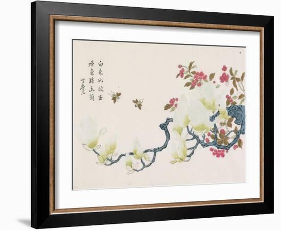 Magnolia, Prunus, Bees-Ding Yingzong-Framed Art Print