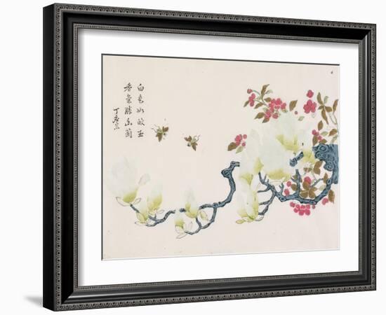 Magnolia, Prunus, Bees-Ding Yingzong-Framed Art Print