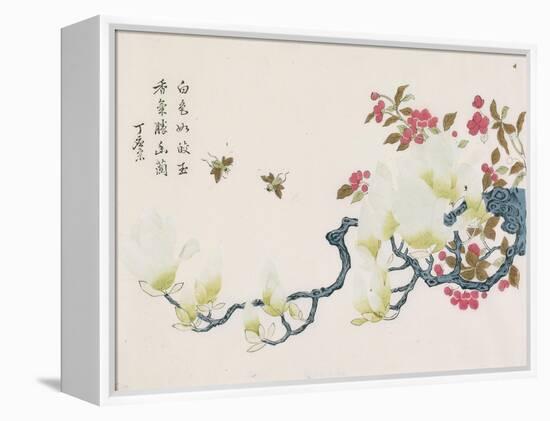 Magnolia, Prunus, Bees-Ding Yingzong-Framed Stretched Canvas