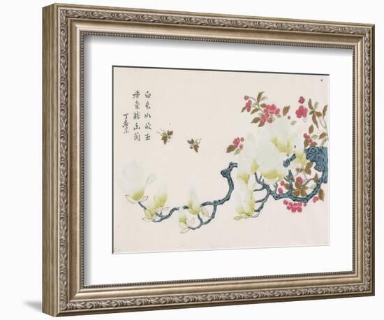 Magnolia, Prunus, Bees-Ding Yingzong-Framed Art Print