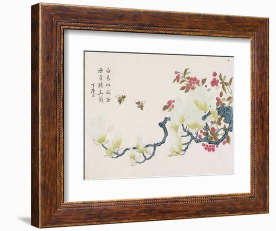 Magnolia, Prunus, Bees-Ding Yingzong-Framed Art Print