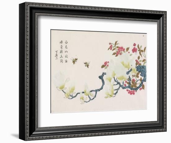 Magnolia, Prunus, Bees-Ding Yingzong-Framed Art Print