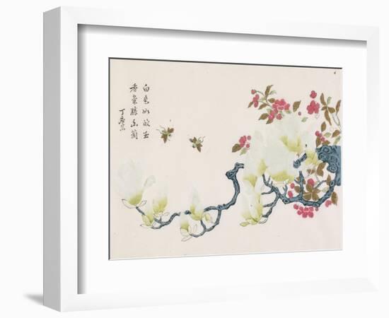 Magnolia, Prunus, Bees-Ding Yingzong-Framed Art Print