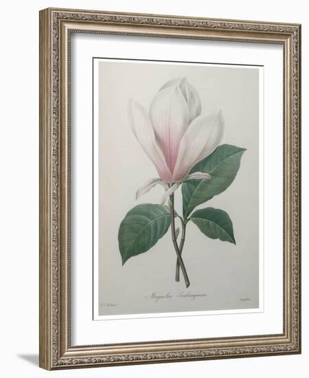 Magnolia Soulangiana-Pierre-Joseph Redoute-Framed Art Print