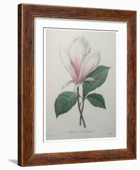 Magnolia Soulangiana-Pierre-Joseph Redoute-Framed Art Print