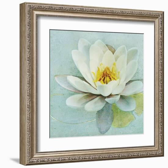 Magnolia Sq-Amy Melious-Framed Art Print