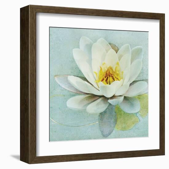 Magnolia Sq-Amy Melious-Framed Art Print