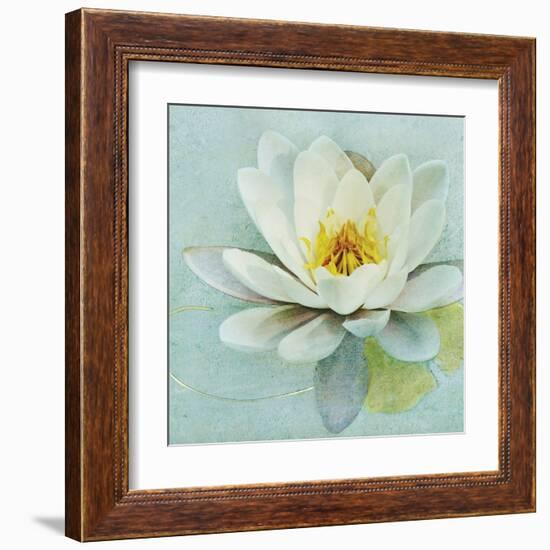 Magnolia Sq-Amy Melious-Framed Art Print