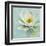 Magnolia Sq-Amy Melious-Framed Art Print