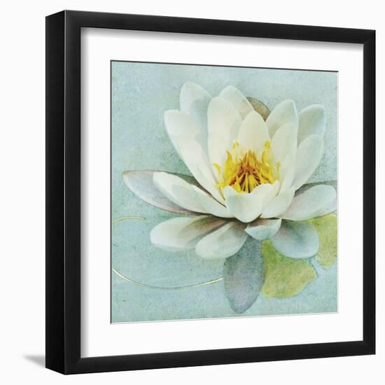 Magnolia Sq-Amy Melious-Framed Art Print