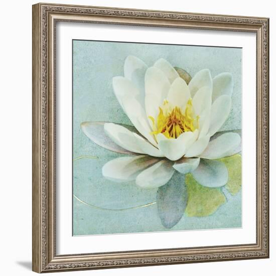 Magnolia Sq-Amy Melious-Framed Art Print