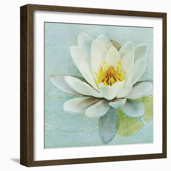 Magnolia Sq-Amy Melious-Framed Art Print