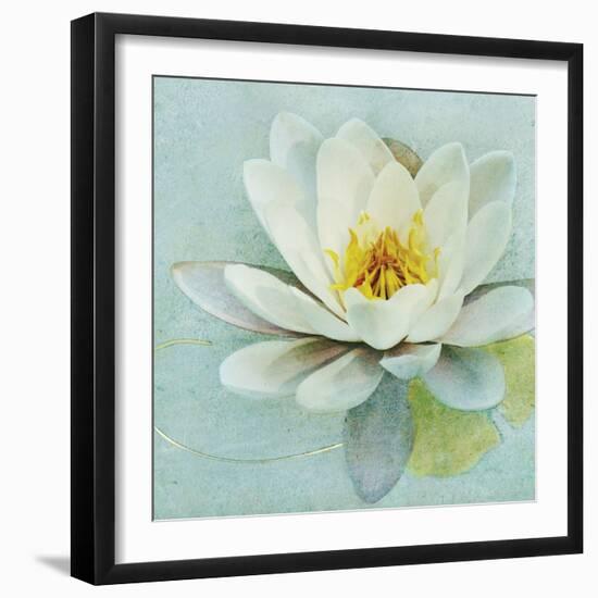 Magnolia Sq-Amy Melious-Framed Art Print