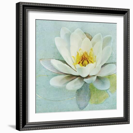 Magnolia Sq-Amy Melious-Framed Art Print