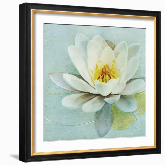 Magnolia Sq-Amy Melious-Framed Art Print