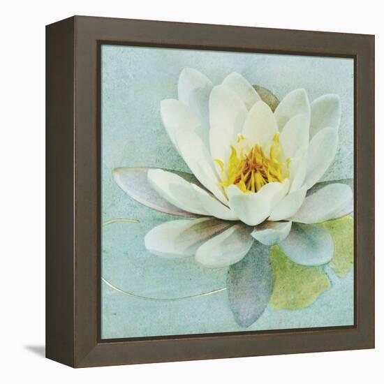 Magnolia Sq-Amy Melious-Framed Stretched Canvas