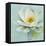 Magnolia Sq-Amy Melious-Framed Stretched Canvas