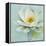 Magnolia Sq-Amy Melious-Framed Stretched Canvas