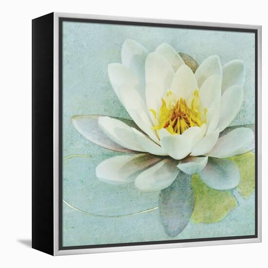 Magnolia Sq-Amy Melious-Framed Stretched Canvas